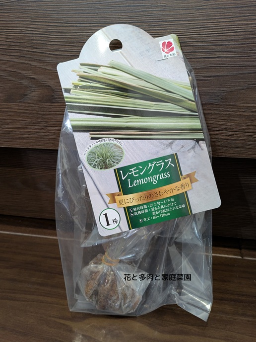 購入した状態のレモングラス